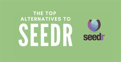 seedr alternative free|10 Top Alternatives to Seedr — RapidSeedbox.